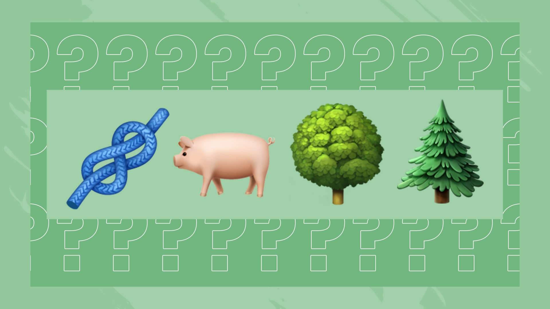 况和数据分 况和数据分